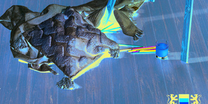 Террасная доска из ДПК Bamberg, Solid, Lebanese Cedar21