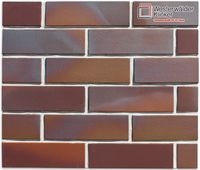 Клинкерная плитка WK31 WesterWälder