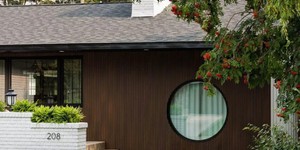 Реечная панель ДПК Turtle Shell, Middle Lines, Australian Palisander Co-Extrusion современная отделка фасада качественными рейками (1 (3)