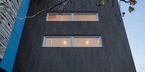 Реечная панель ДПК Turtle Shell, Middle Lines, Faroese Smokewood Co-Extrusion современная и долговечная облицовка дома рейками (1)