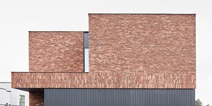 Реечная панель ДПК Turtle Shell, Middle Lines, Faroese Smokewood Co-Extrusion современная и долговечная облицовка дома рейками (2)