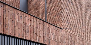 Реечная панель ДПК Turtle Shell, Middle Lines, Faroese Smokewood Co-Extrusion современная и долговечная облицовка дома рейками (4)