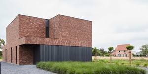 Реечная панель ДПК Turtle Shell, Middle Lines, Faroese Smokewood Co-Extrusion современная и долговечная облицовка дома рейками (5)