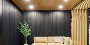 Реечная панель ДПК Turtle Shell, Middle Lines, Faroese Smokewood Co-Extrusion фото черные рейки для интерьера купить (1)