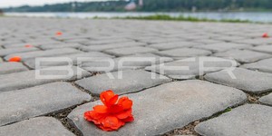 Посмотреть фото готового тротуара из плитки Браер Ривьера Серый - Набережная, Тутаев (4)