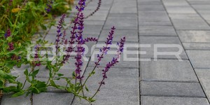 Тротуарная плитка Старый Город Ландхаус микс цветов туман и вечер. Заказать с доставкой в Белгородской области